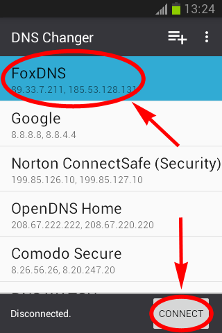 FoxDNS - DNS Changer Lilly